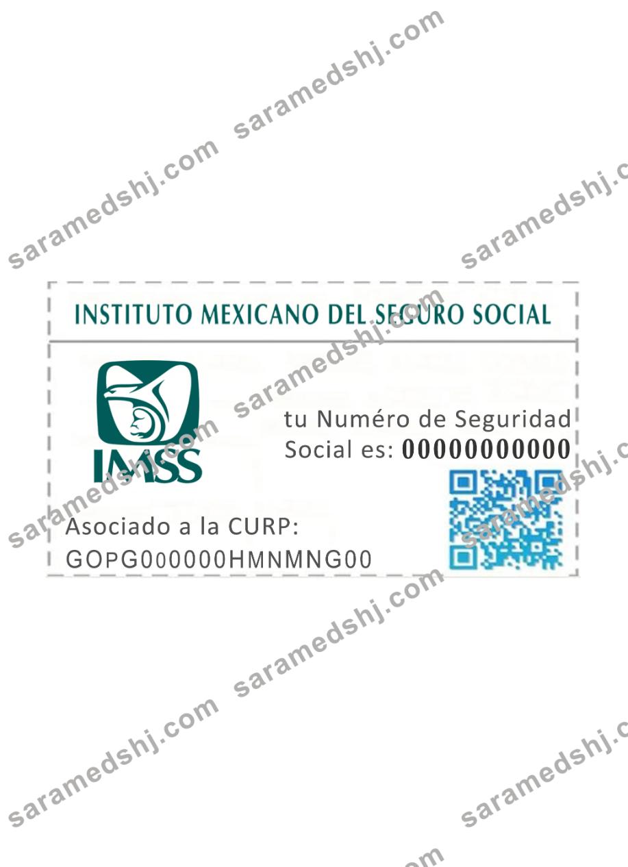 Mexico NSS card